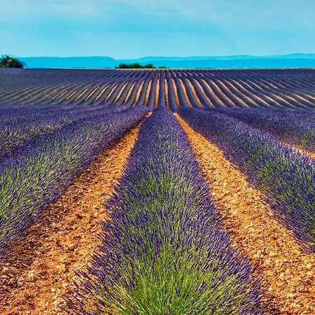 Appartamento Gorges Du Verdon-face Au Lac *